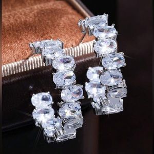 Elegant Silver Hoop Earrings